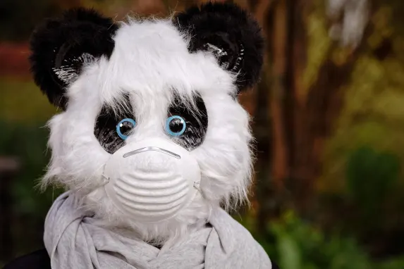 Βεγαδρεαμ Καζίνο Υποστηριξη